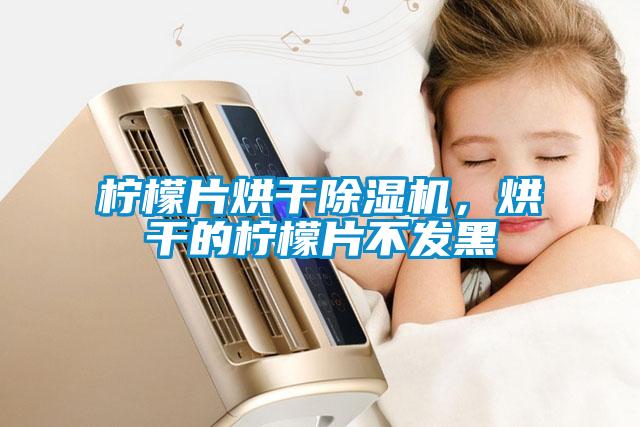 檸檬片烘干除濕機，烘干的檸檬片不發(fā)黑