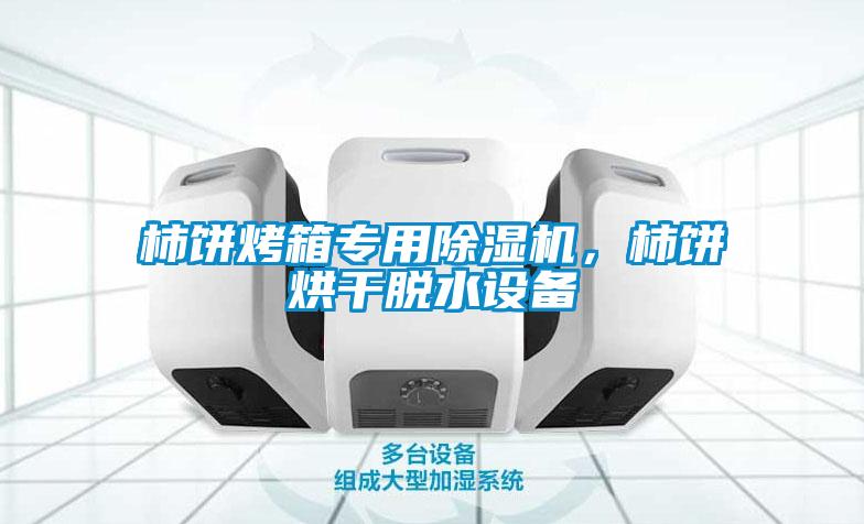 柿餅烤箱專用除濕機,柿餅烘干脫水設(shè)備