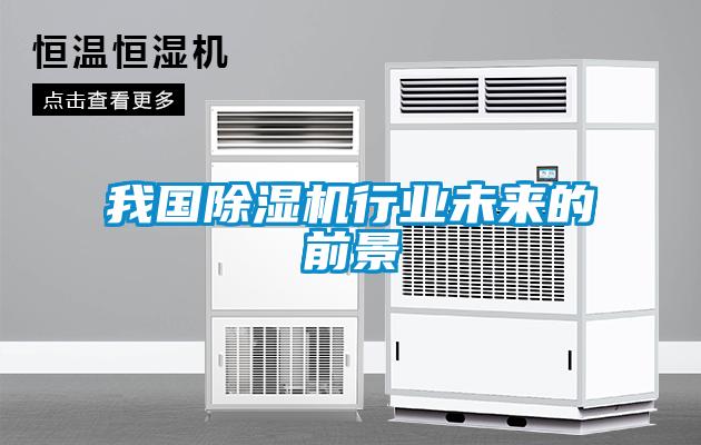 我國(guó)除濕機(jī)行業(yè)未來的前景