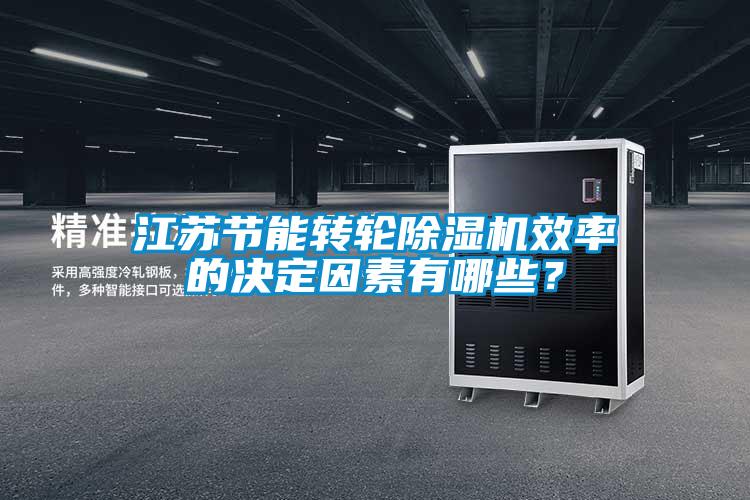 江蘇節(jié)能轉(zhuǎn)輪除濕機效率的決定因素有哪些？