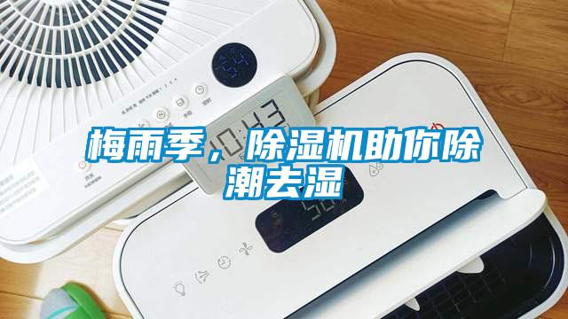 梅雨季，除濕機(jī)助你除潮去濕