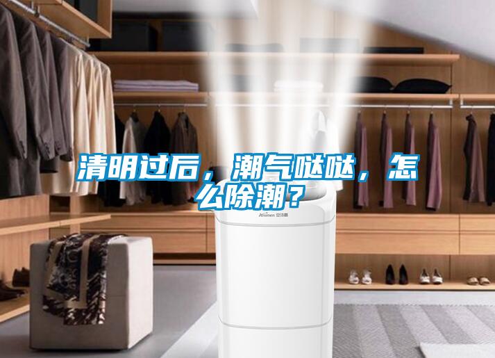 清明過后，潮氣噠噠，怎么除潮？