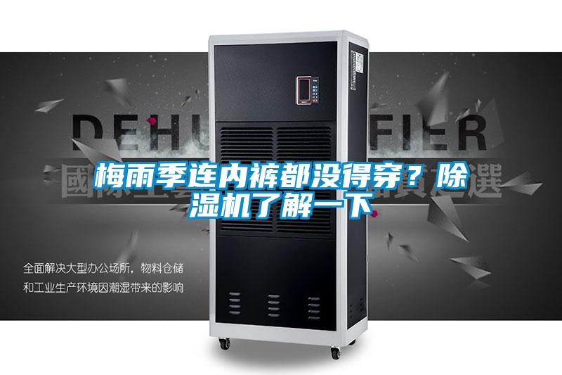 梅雨季連內褲都沒得穿？除濕機了解一下
