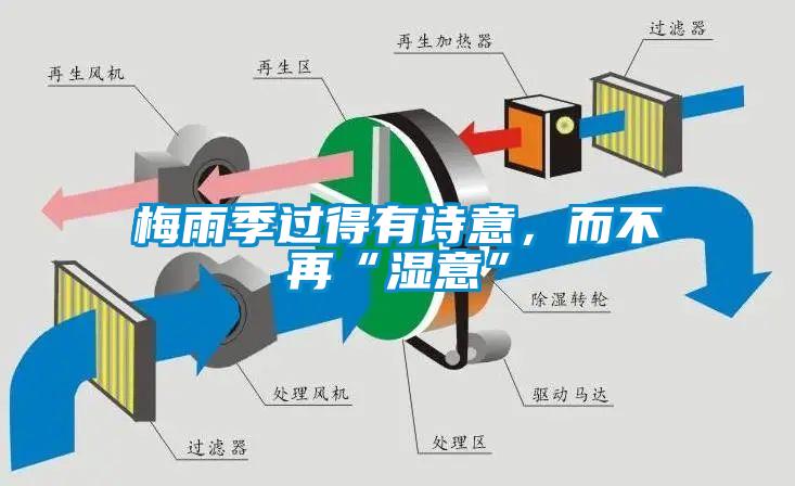 梅雨季過得有詩意，而不再“濕意”