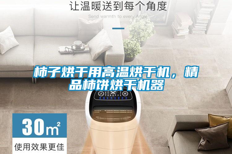 柿子烘干用高溫烘干機(jī),精品柿餅烘干機(jī)器