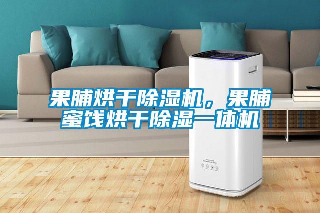 果脯烘干除濕機，果脯蜜餞烘干除濕一體機