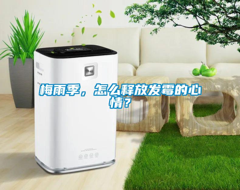 梅雨季，怎么釋放發(fā)霉的心情？