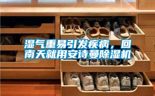 濕氣重易引發(fā)疾病，回南天就用安詩曼除濕機