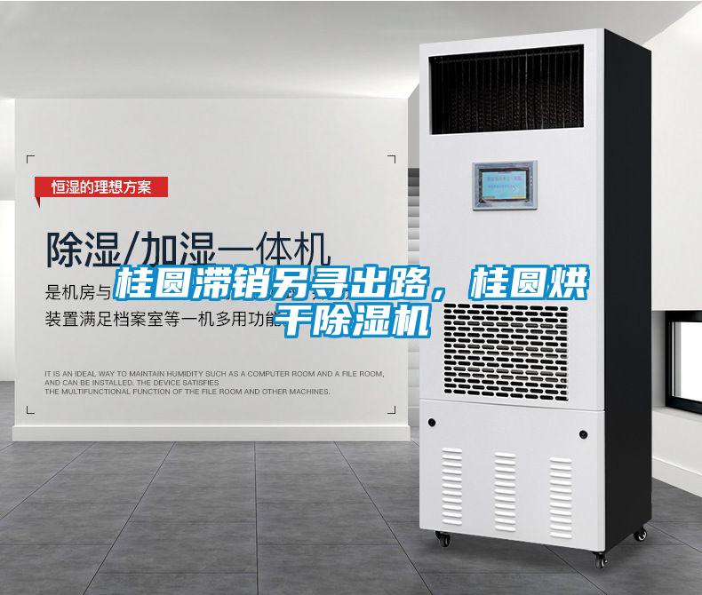 桂圓滯銷另尋出路，桂圓烘干除濕機