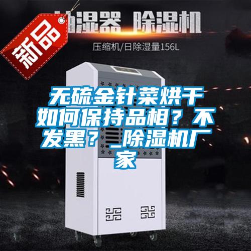 無硫金針菜烘干如何保持品相？不發(fā)黑？_除濕機(jī)廠家
