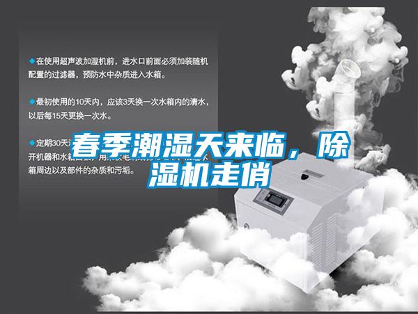 春季潮濕天來臨，除濕機走俏