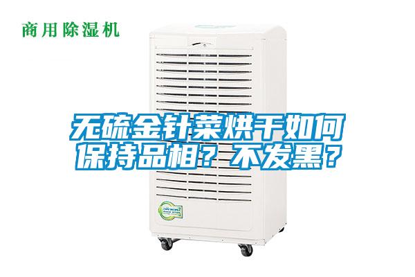 無硫金針菜烘干如何保持品相？不發(fā)黑？