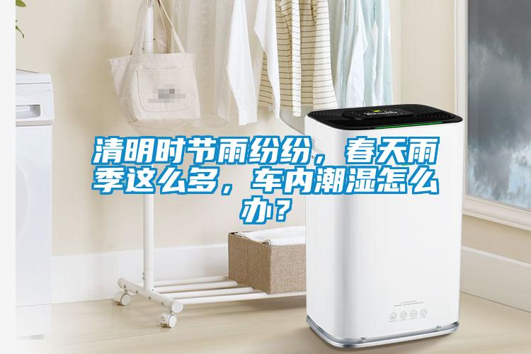 清明時節(jié)雨紛紛，春天雨季這么多，車內潮濕怎么辦？