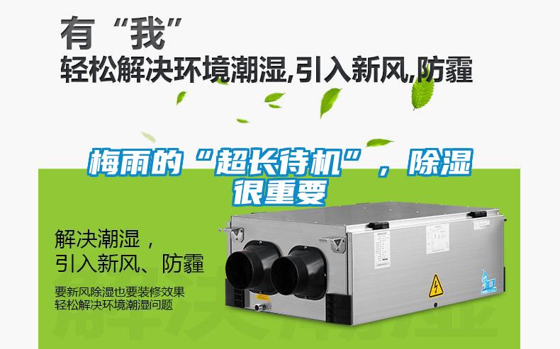 梅雨的“超長(zhǎng)待機(jī)”，除濕很重要