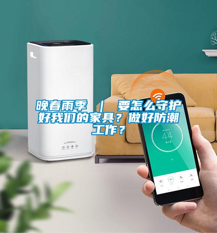 晚春雨季 ｜ 要怎么守護(hù)好我們的家具？做好防潮工作？