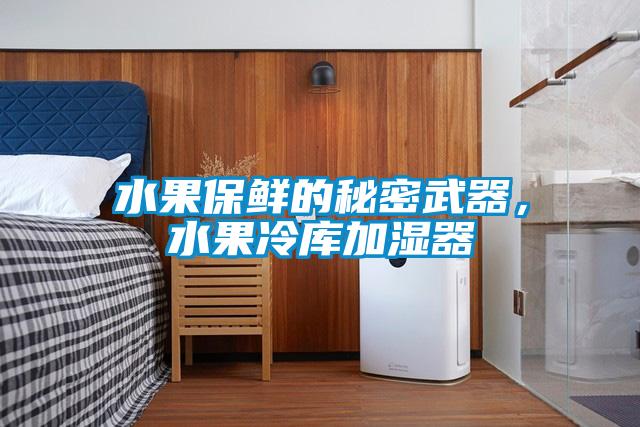 水果保鮮的秘密武器，水果冷庫加濕器