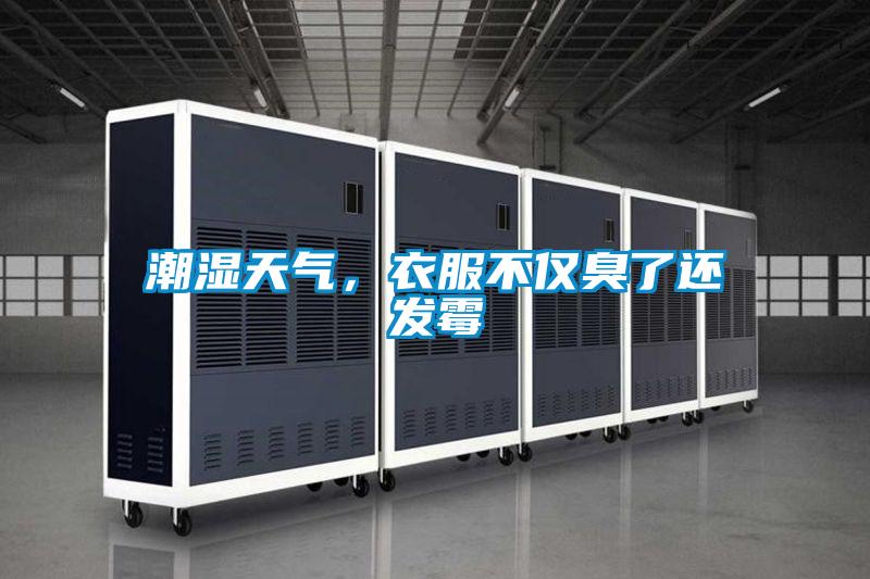 潮濕天氣，衣服不僅臭了還發(fā)霉