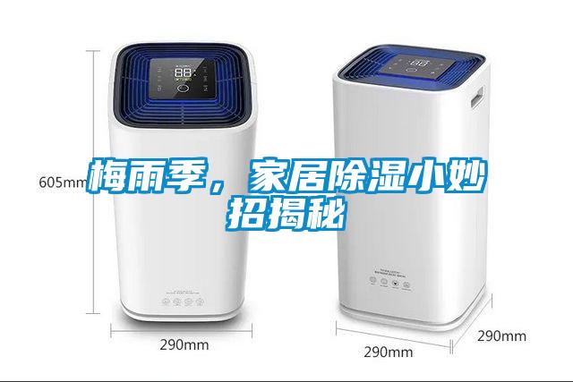 梅雨季，家居除濕小妙招揭秘