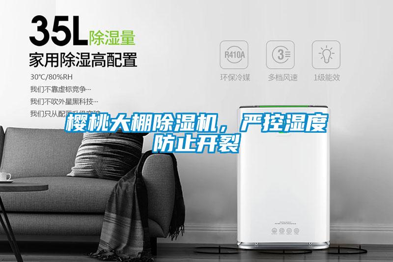 櫻桃大棚除濕機(jī)，嚴(yán)控濕度防止開裂