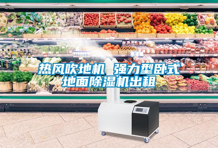 熱風(fēng)吹地機 強力型臥式地面除濕機出租