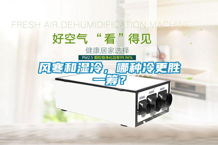 風(fēng)寒和濕冷，哪種冷更勝一籌？
