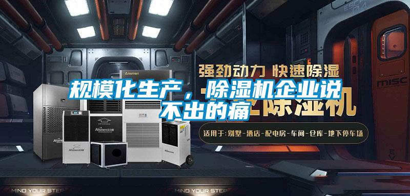 規(guī)?；a(chǎn)，除濕機(jī)企業(yè)說不出的痛