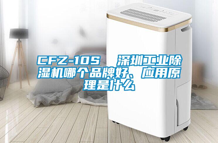 CFZ-10S  深圳工業(yè)除濕機(jī)哪個(gè)品牌好、應(yīng)用原理是什么