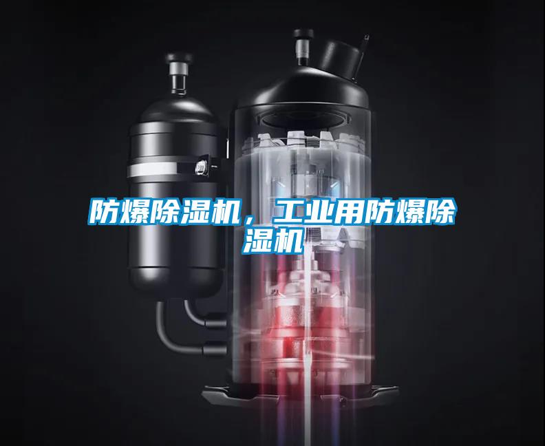 防爆除濕機(jī)，工業(yè)用防爆除濕機(jī)
