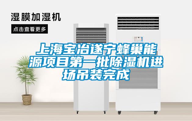 上海寶冶遂寧蜂巢能源項(xiàng)目第一批除濕機(jī)進(jìn)場(chǎng)吊裝完成