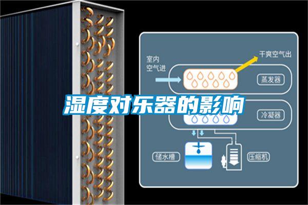 濕度對(duì)樂器的影響