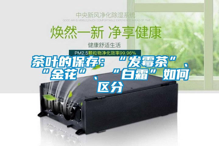 茶葉的保存：“發(fā)霉茶”、“金花”、“白霜”如何區(qū)分