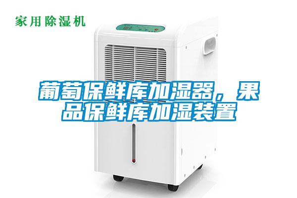 葡萄保鮮庫(kù)加濕器，果品保鮮庫(kù)加濕裝置