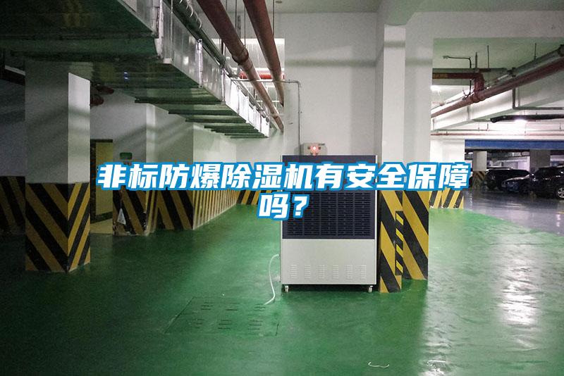 非標(biāo)防爆除濕機(jī)有安全保障嗎？