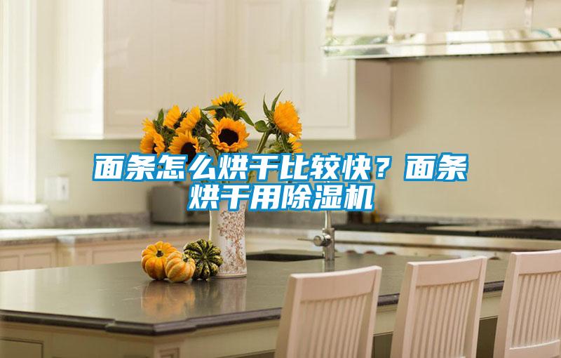 面條怎么烘干比較快？面條烘干用除濕機(jī)