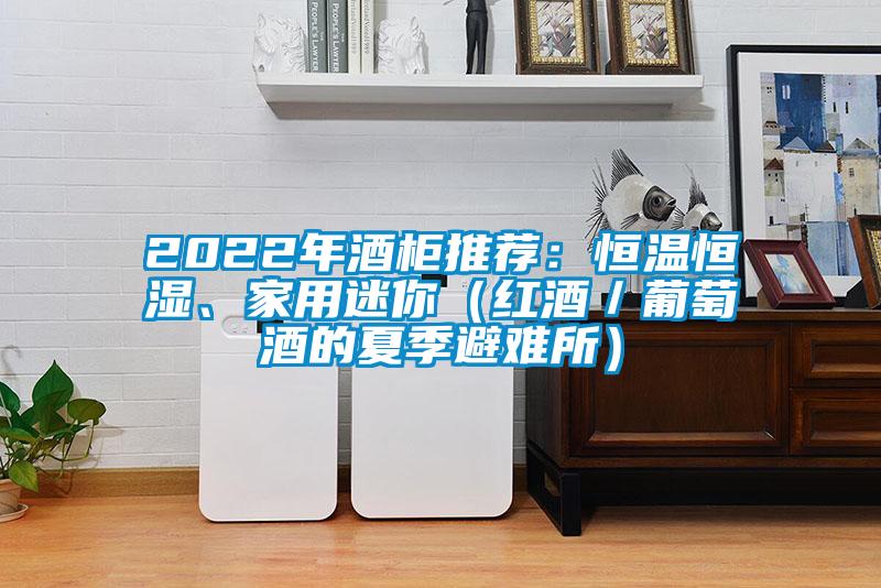 2022年酒柜推薦：恒溫恒濕、家用迷你（紅酒／葡萄酒的夏季避難所）