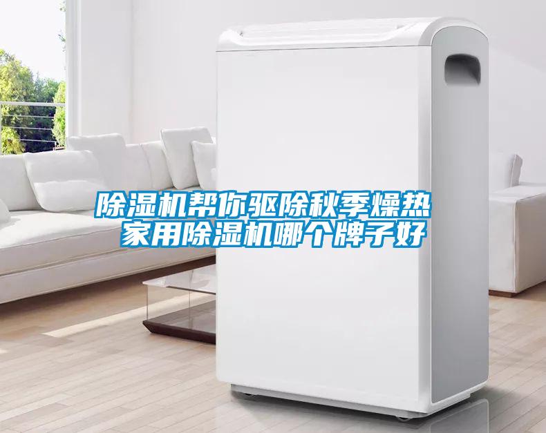除濕機(jī)幫你驅(qū)除秋季燥熱 家用除濕機(jī)哪個(gè)牌子好