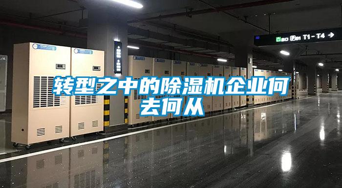轉型之中的除濕機企業(yè)何去何從