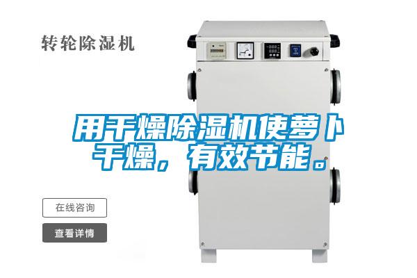 用干燥除濕機(jī)使蘿卜干燥，有效節(jié)能。