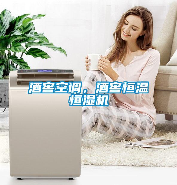 酒窖空調(diào)，酒窖恒溫恒濕機