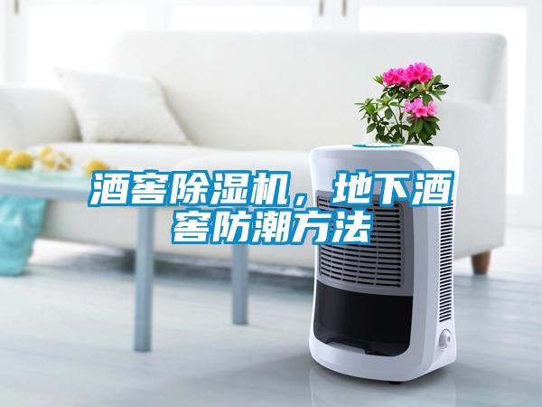 酒窖除濕機(jī)，地下酒窖防潮方法