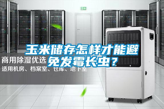 玉米儲存怎樣才能避免發(fā)霉長蟲？