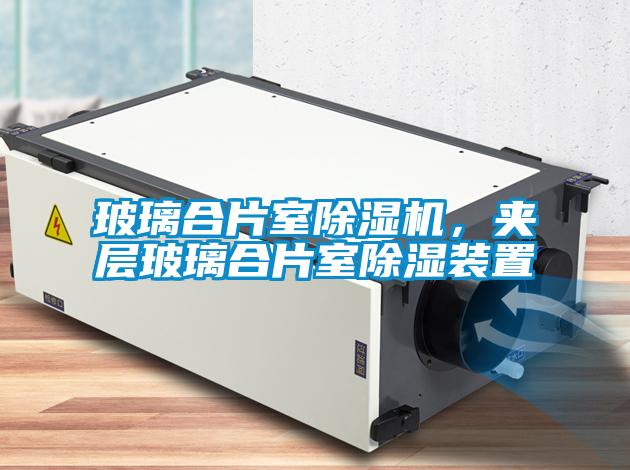 玻璃合片室除濕機(jī)，夾層玻璃合片室除濕裝置