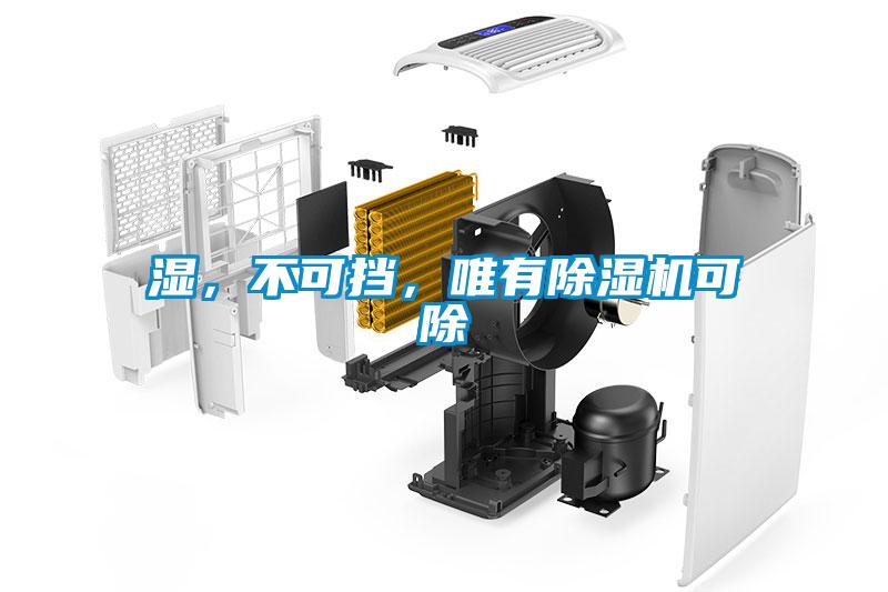 濕，不可擋，唯有除濕機(jī)可除