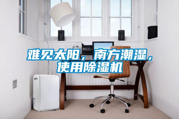 難見太陽，南方潮濕，使用除濕機