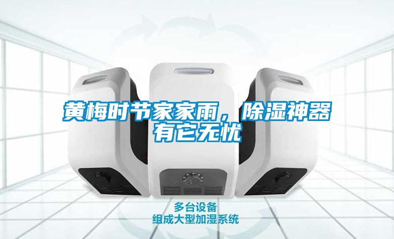 黃梅時(shí)節(jié)家家雨，除濕神器有它無(wú)憂