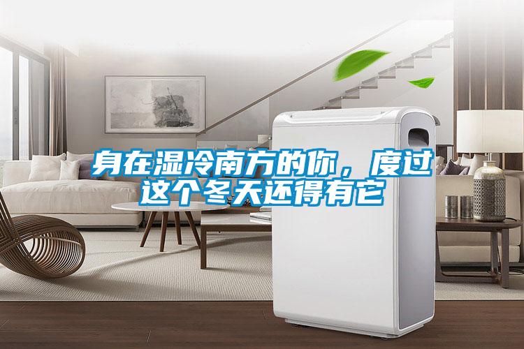 身在濕冷南方的你，度過這個冬天還得有它
