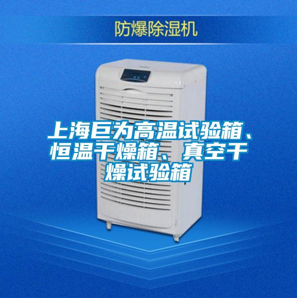 上海巨為高溫試驗(yàn)箱、恒溫干燥箱、真空干燥試驗(yàn)箱