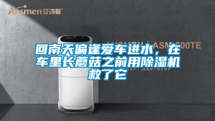 回南天偏逢愛(ài)車(chē)進(jìn)水，在車(chē)?yán)镩L(zhǎng)蘑菇之前用除濕機(jī)救了它