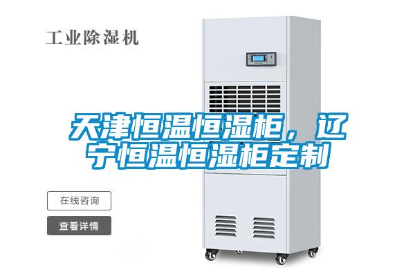 天津恒溫恒濕柜，遼寧恒溫恒濕柜定制