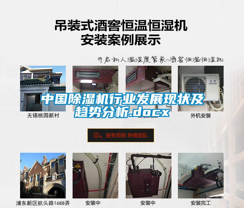 中國除濕機行業(yè)發(fā)展現(xiàn)狀及趨勢分析.docx